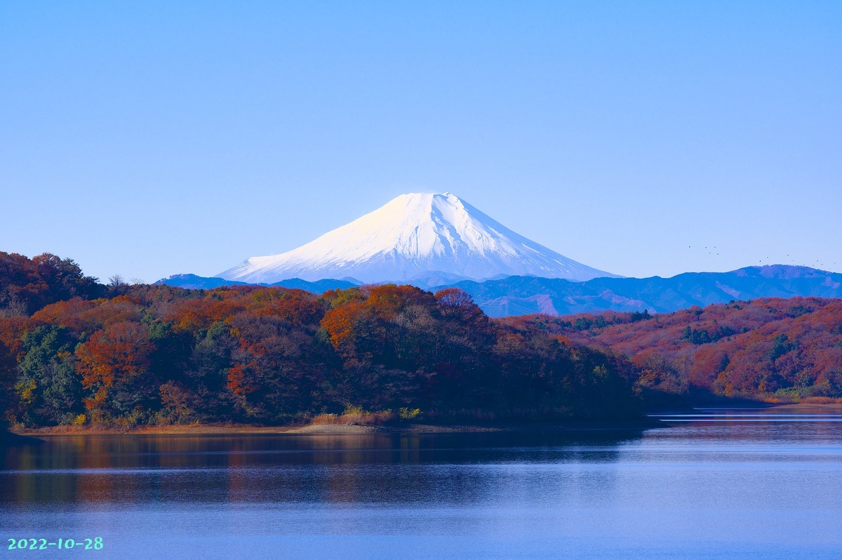 japan-1706942_1920.jpg