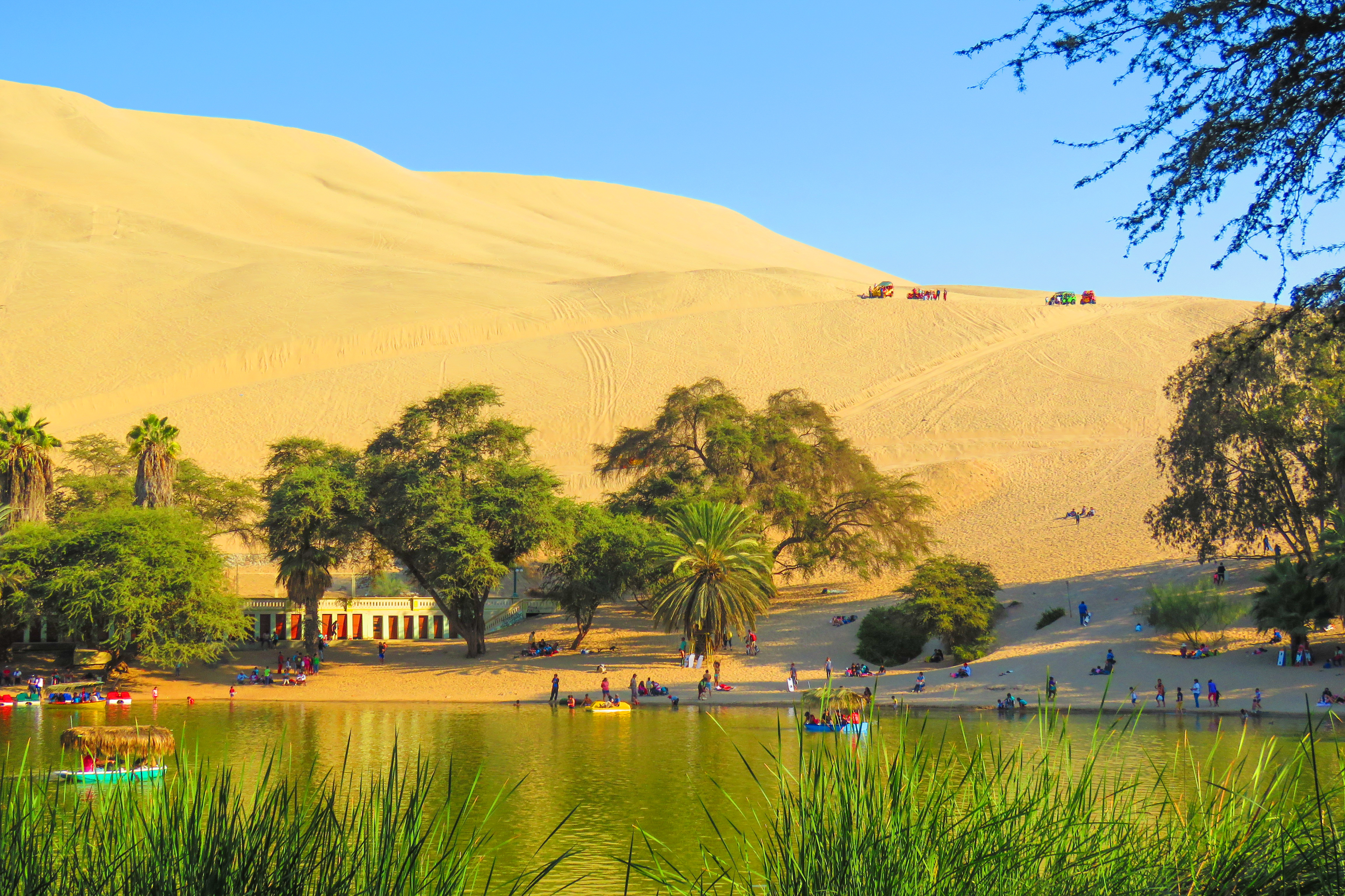 oasis-1631145-361.jpg