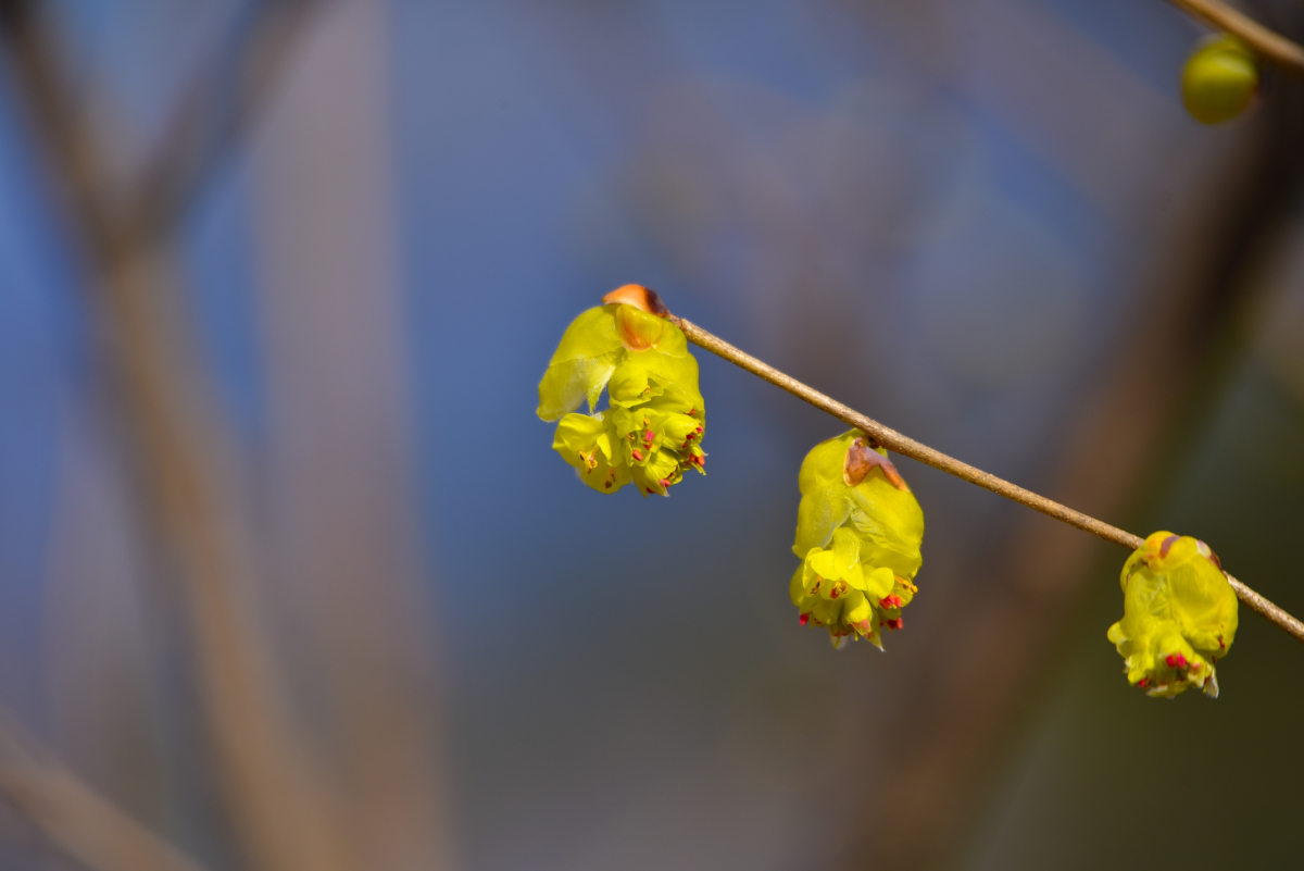 IMG_6069-120.jpg