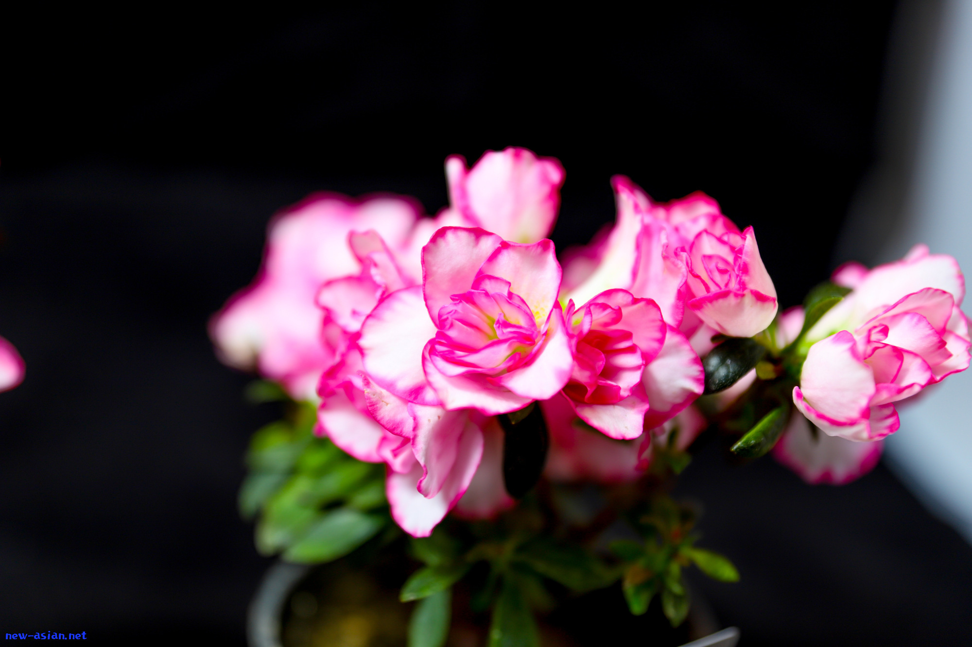 88d8a476fd1e6a297a594d122b61e9df.jpeg