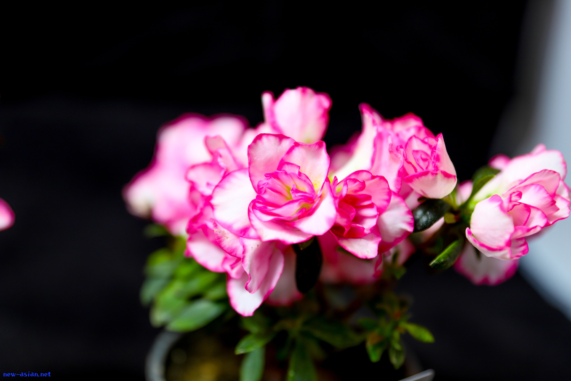 4FC1D7B0-CF35-4C4B-A5F5-AA10228158C0.jpeg