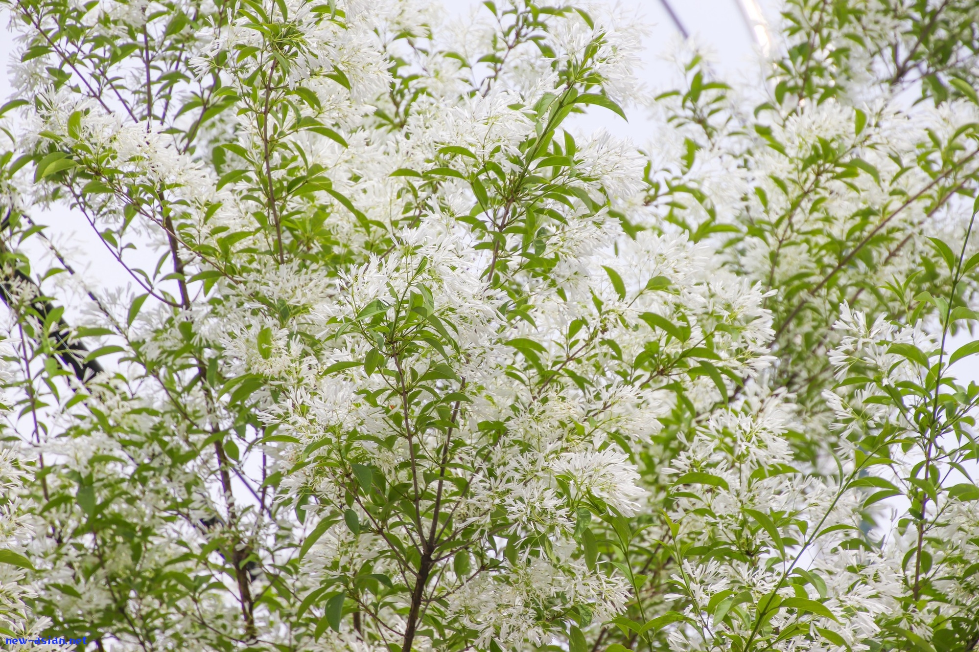 CC38AADB-87FA-455B-8085-A3D1170814ED.jpeg