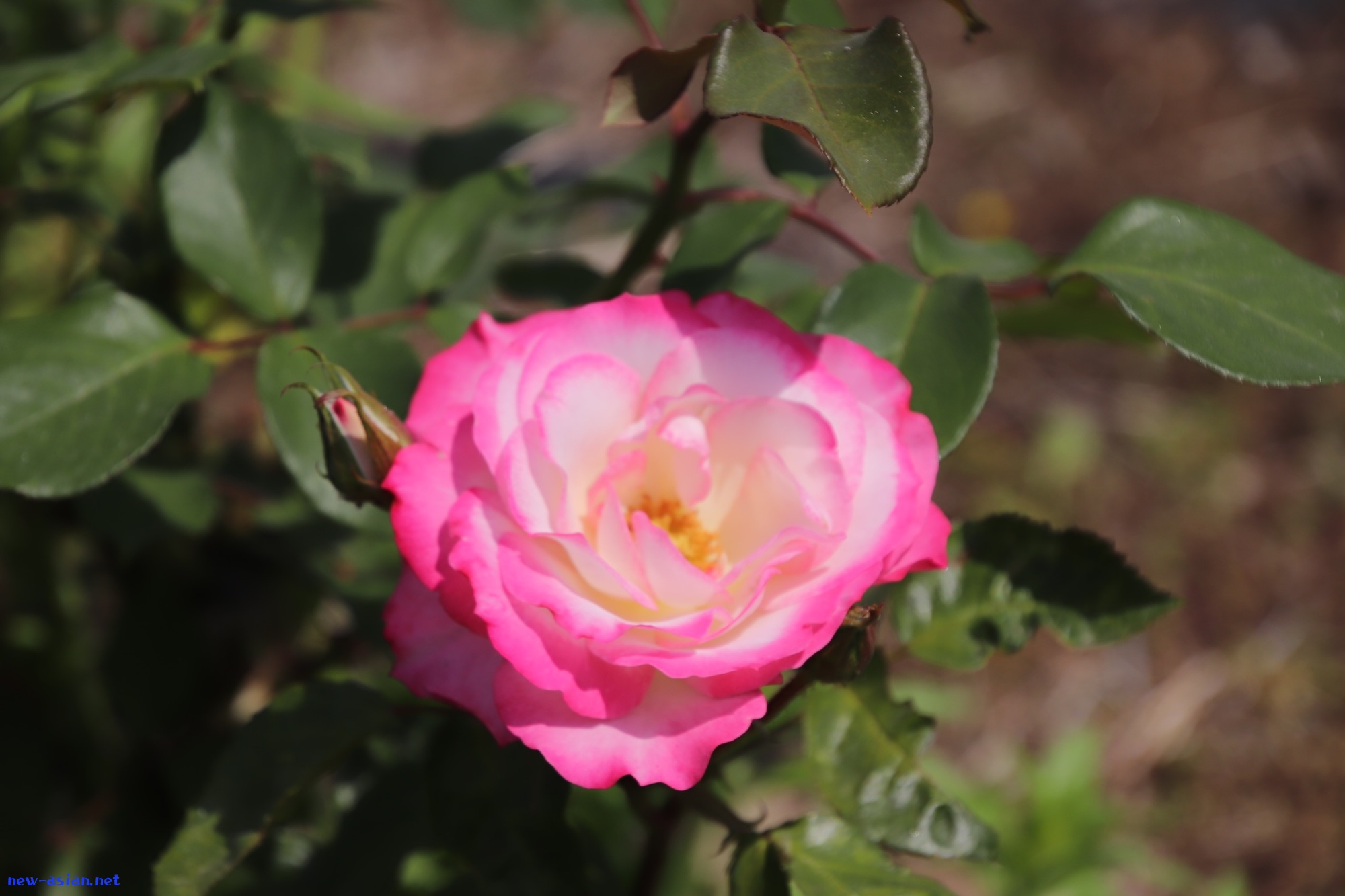 7CAD4BC7-6D32-4F1D-BC1C-5595E17A90D3.jpeg