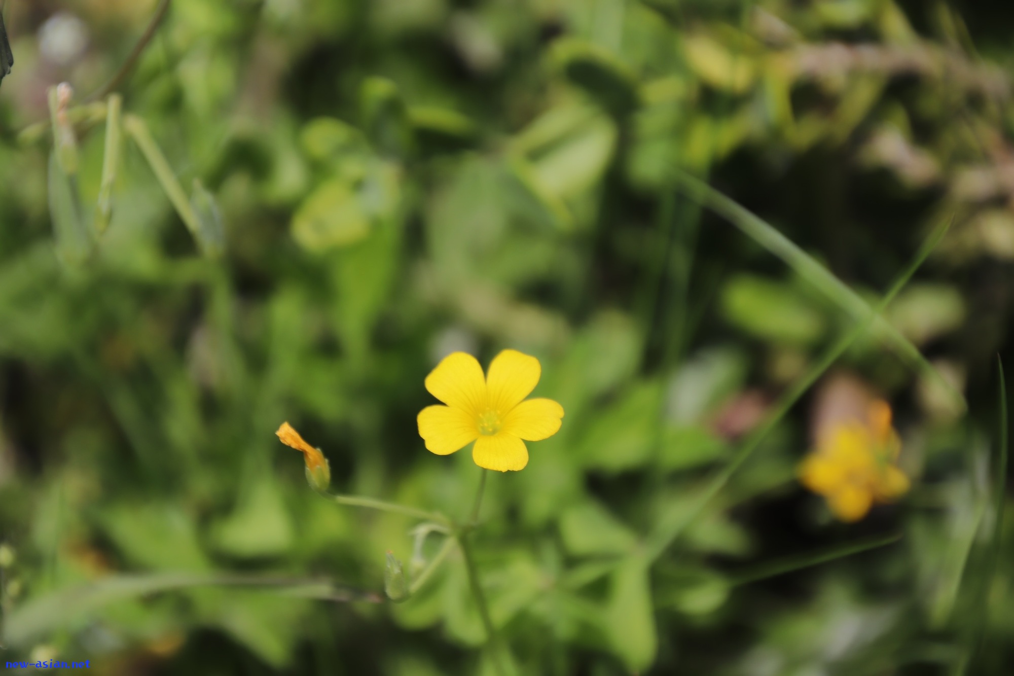 63C9422F-74E4-4B2C-8F37-3067C2242A26.jpeg