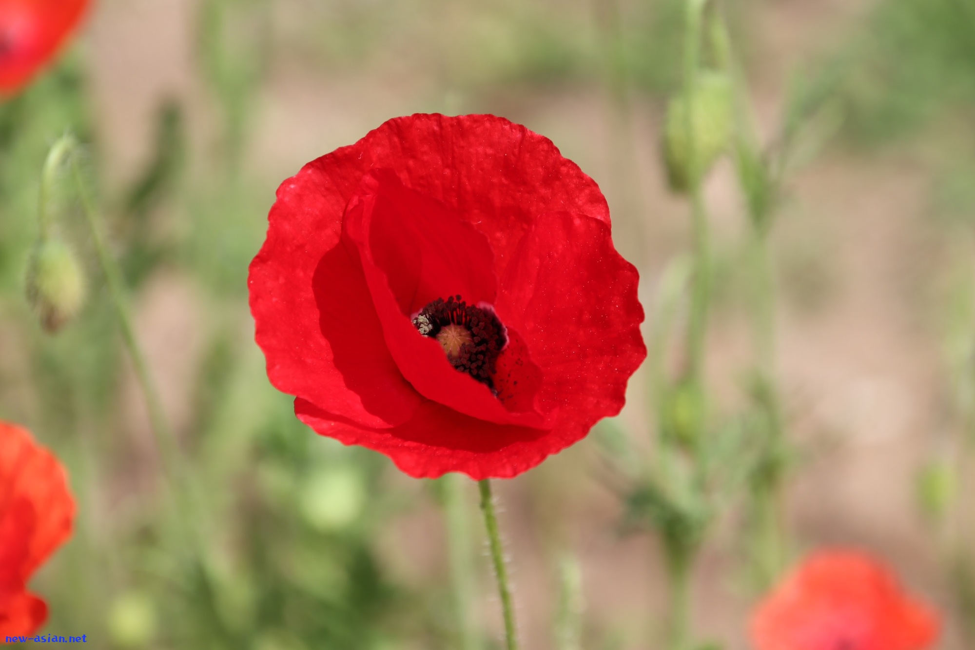 64D28919-94B0-4CC3-A700-48678497AB4D.jpeg