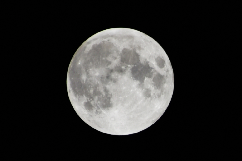 IMG_5834-111.jpg