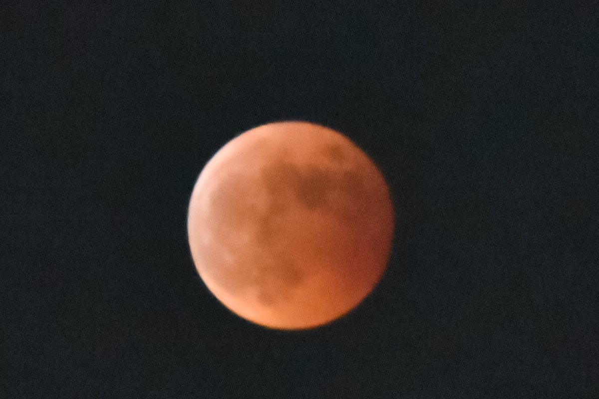 IMG_5821-106.jpg