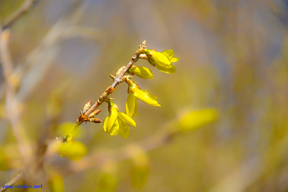 4B6600A6-A3D0-4C71-8EDB-1552547448DF.jpeg