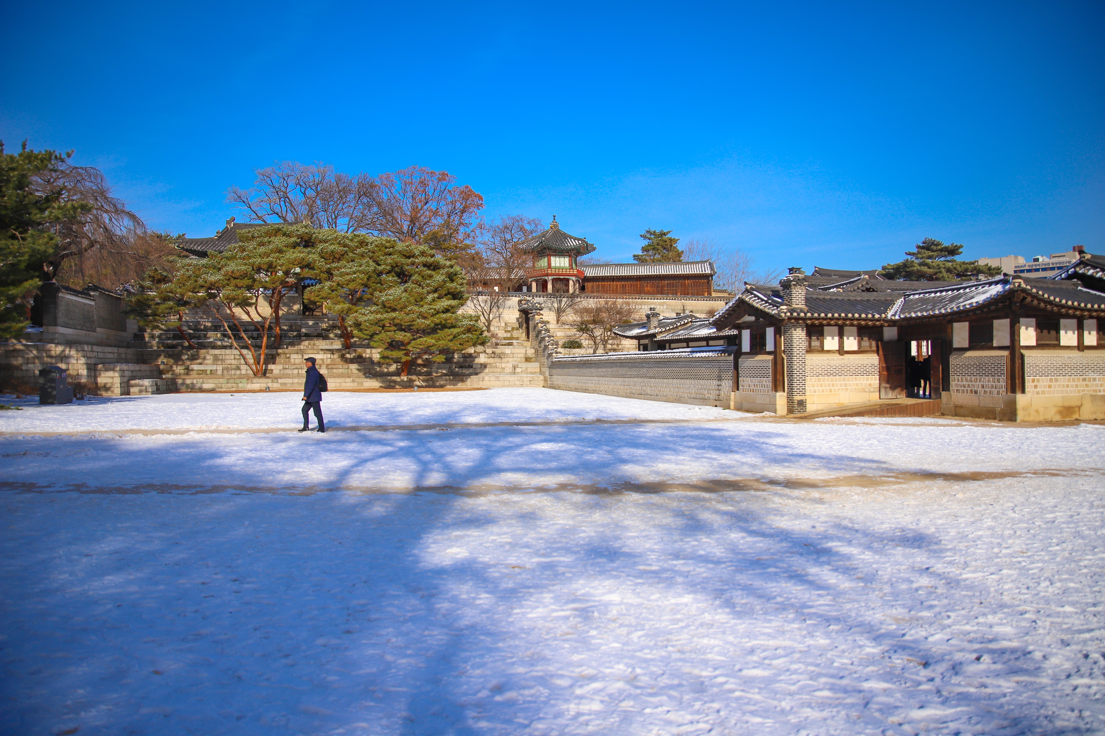 4AF16936-95FA-439D-A4AB-D12356592693.jpeg