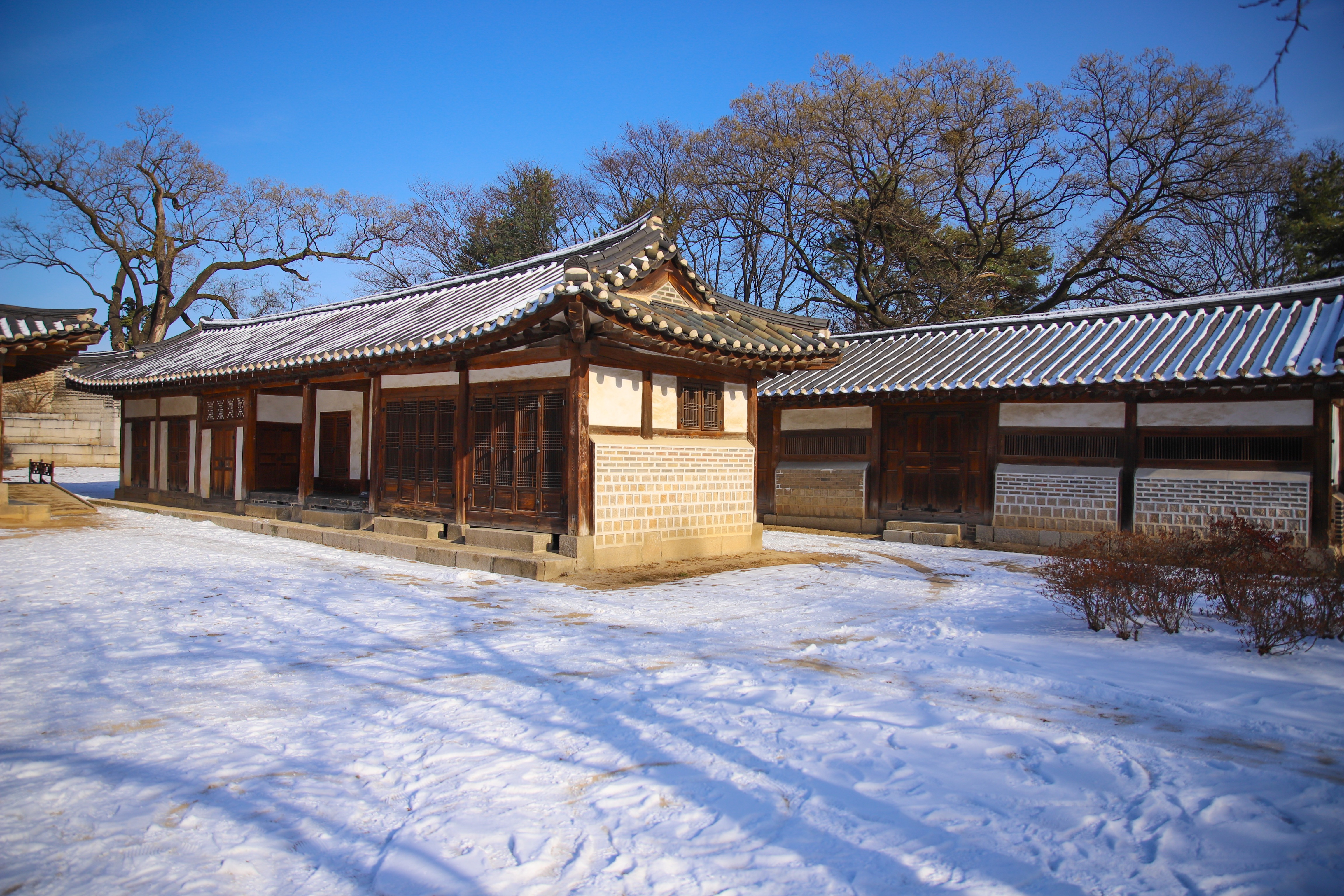 FE612EEA-086D-4A38-AE5C-88E6176B9D57.jpeg