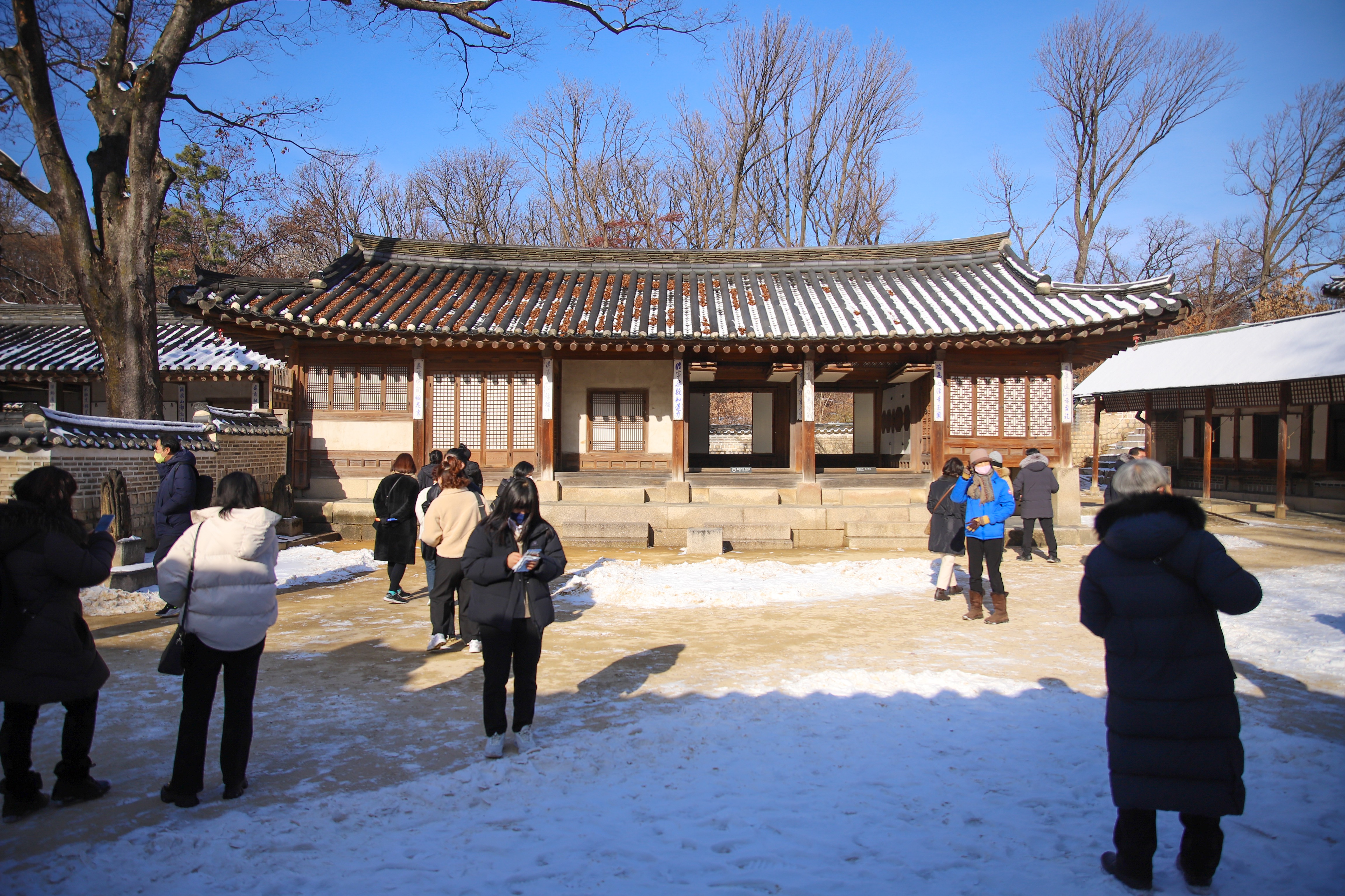 7B140CE9-BB8C-44E1-A210-FA5F9859C68E.jpeg