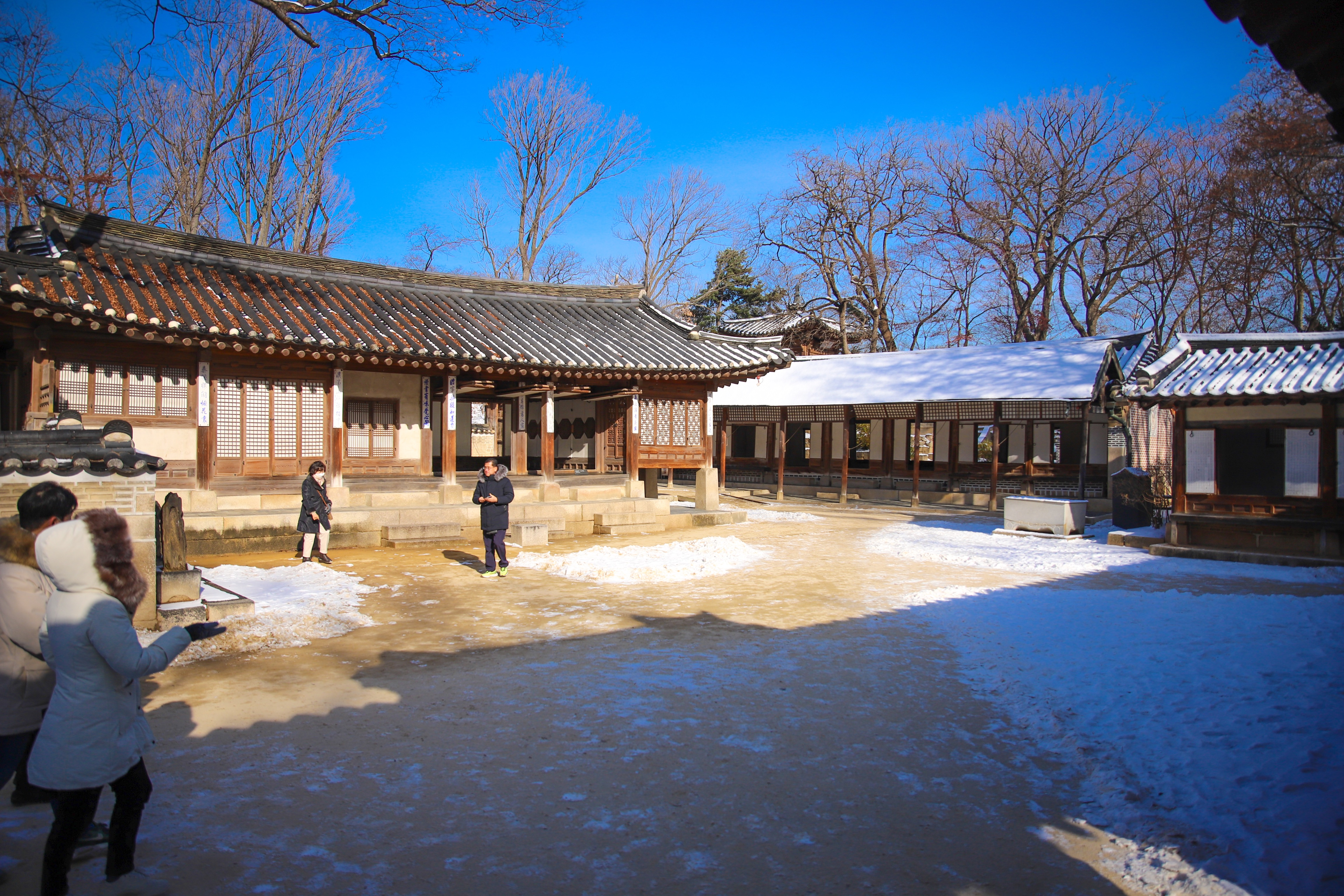 142DC6B3-982F-4A7D-814A-A558BE59537A.jpeg