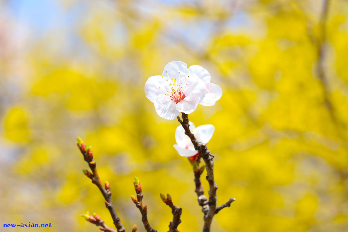 A6897490-6D8C-473C-8F85-CCDE32969C46.jpeg