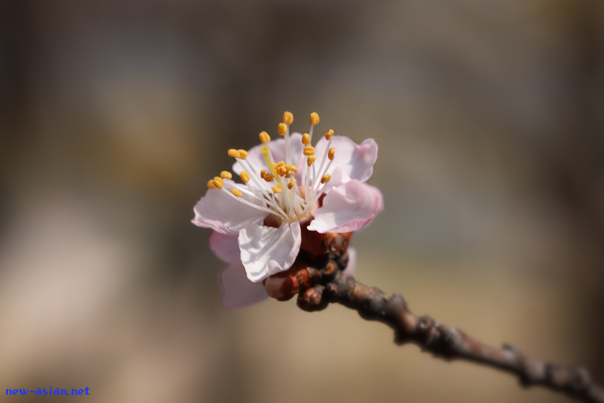 4284A7B3-109D-44E5-951F-C1C0854CE37E.jpeg