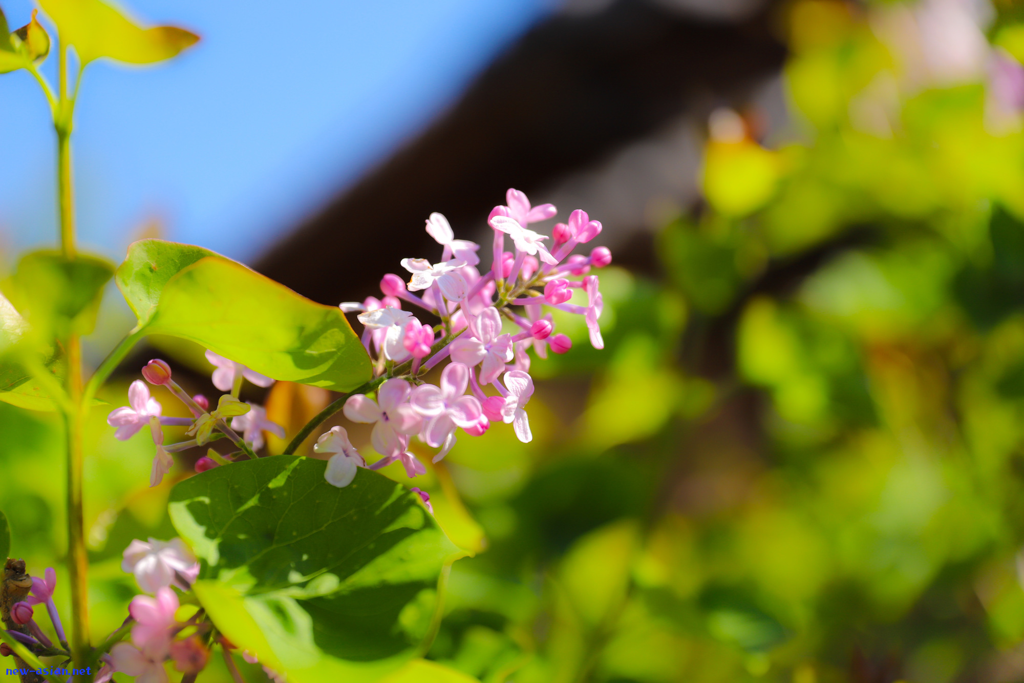 436864BB-2A40-4C32-A587-ECFE87C18469.jpeg