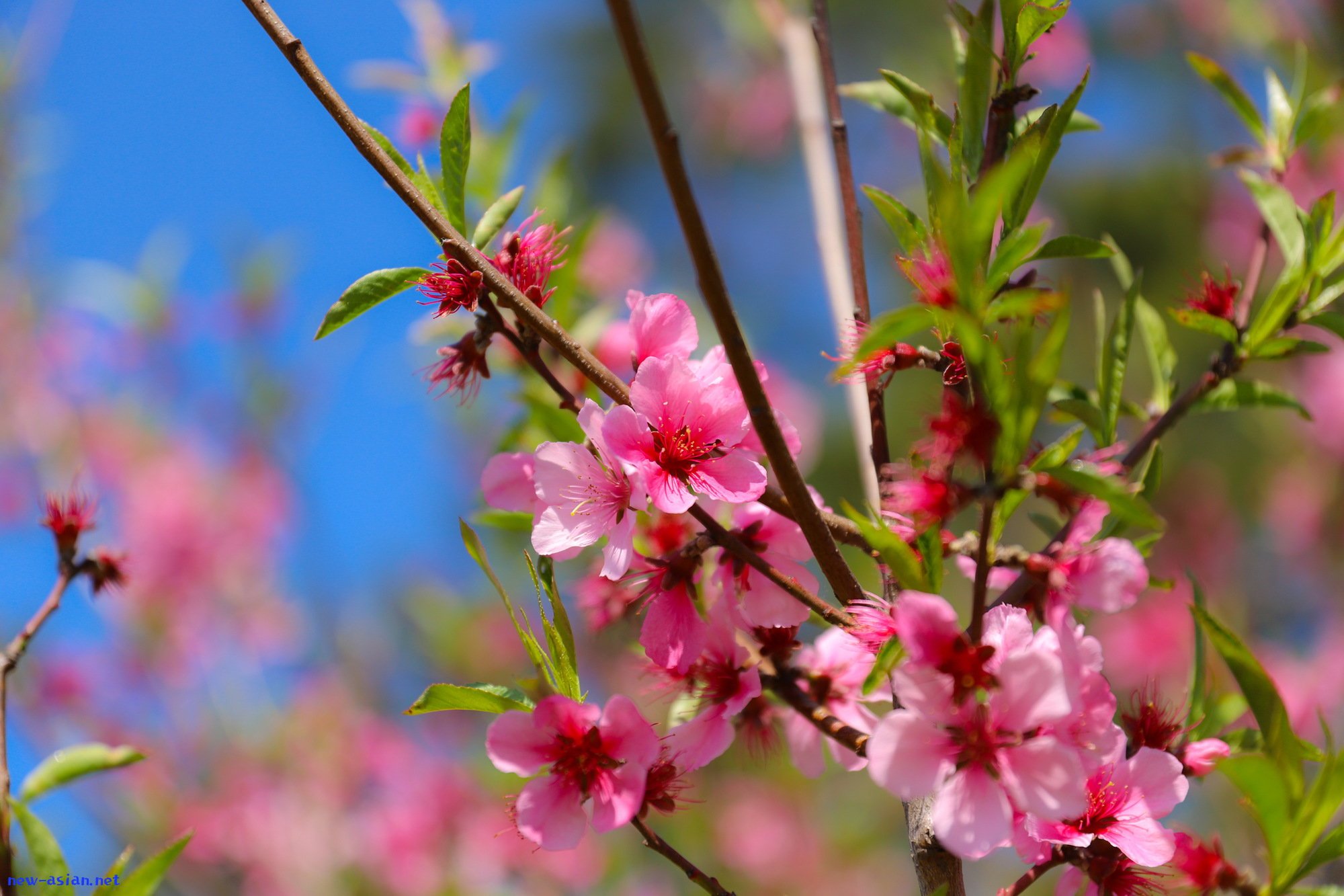 97E213A8-755B-4D04-B226-DC946B479294.jpeg