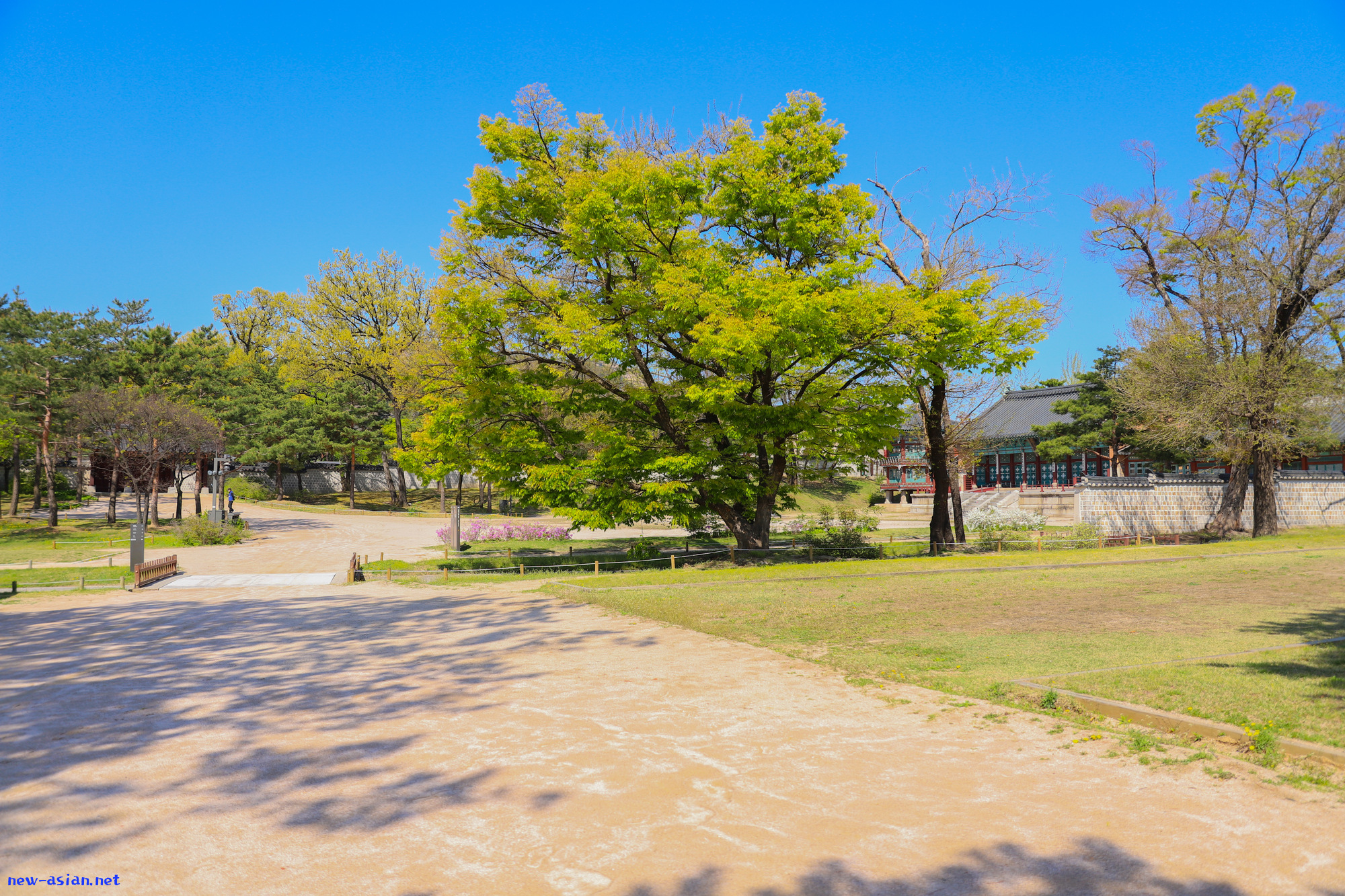 57261E95-859D-4A6E-818C-F7D67F2D48ED.jpeg
