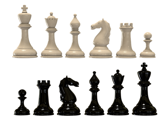 chess-3413429_640.png