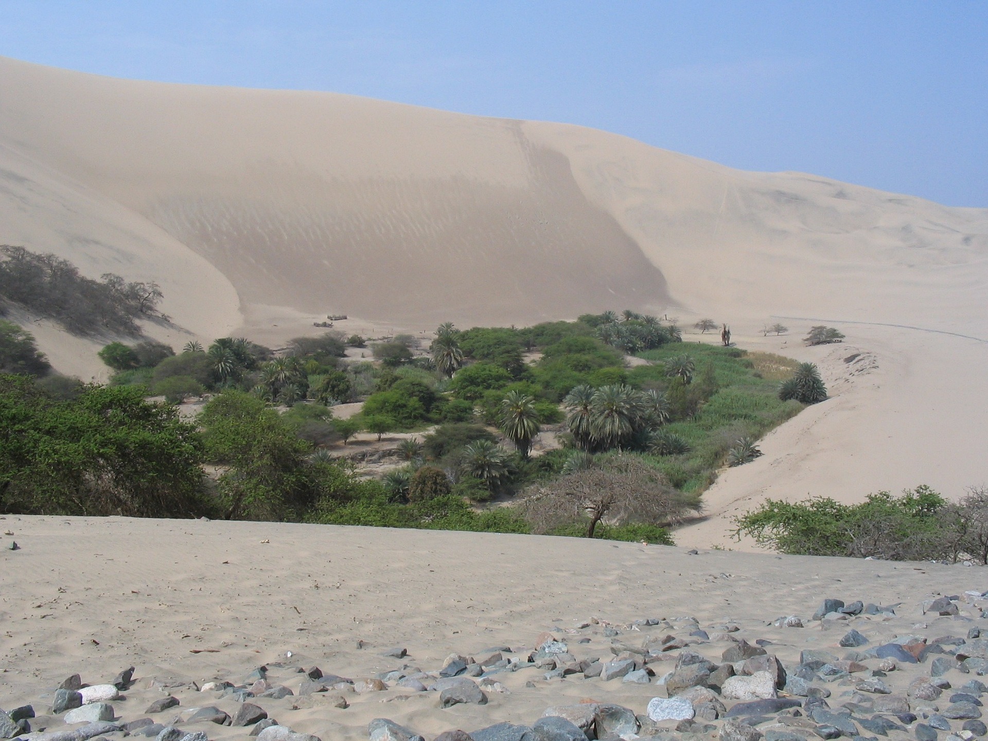 desert-109310_1920.jpg