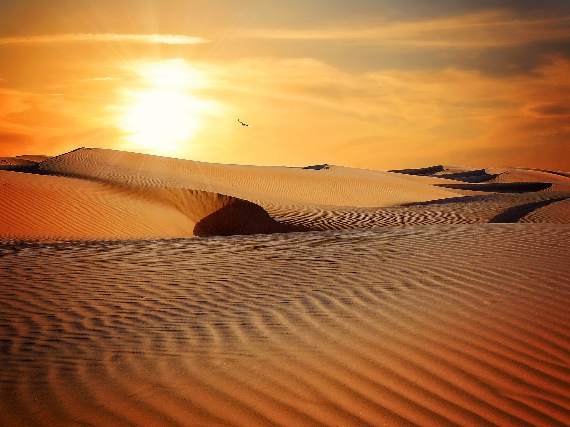 desert-790640_1920.jpg