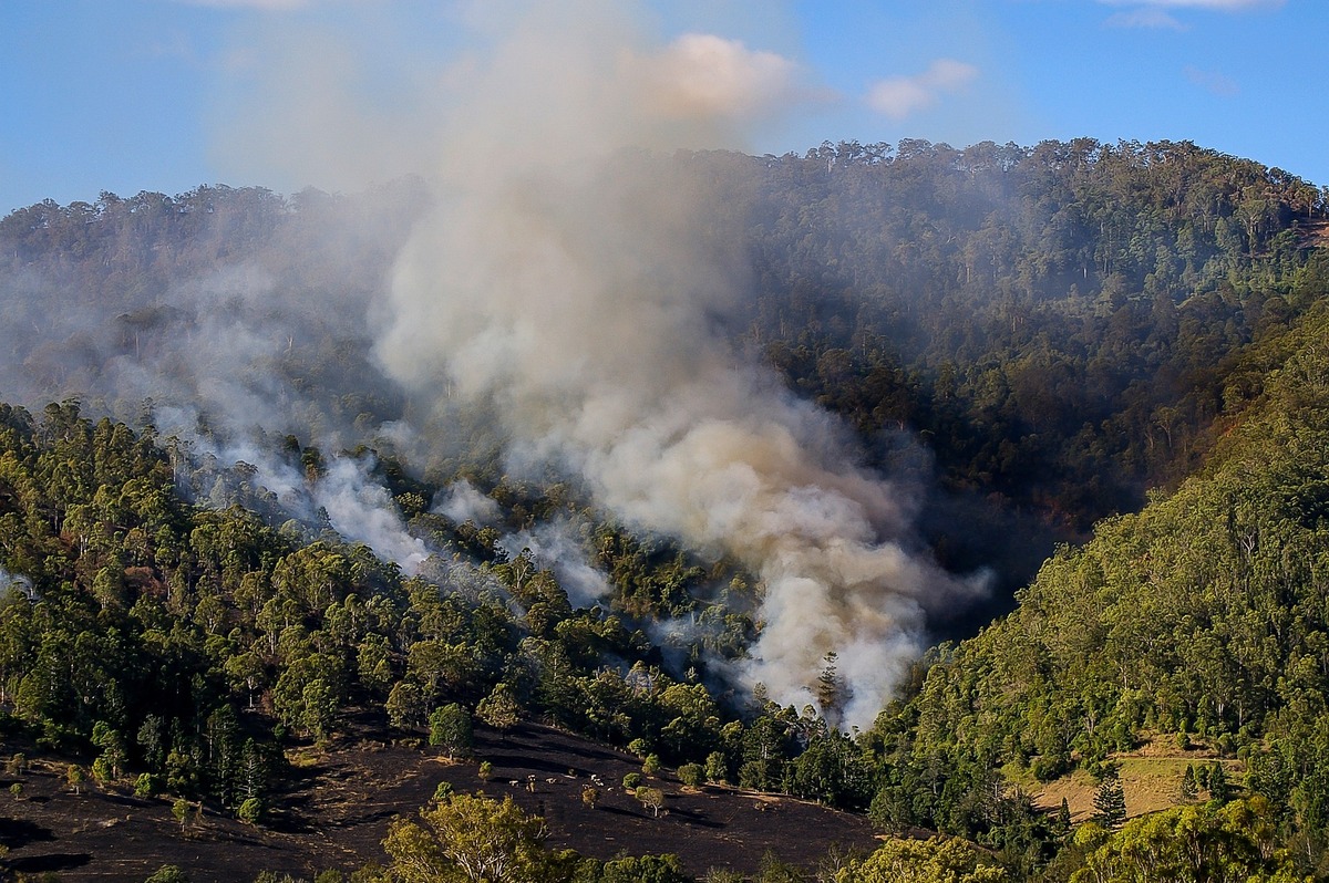 fire-g81ecbe0aa_1920.jpg