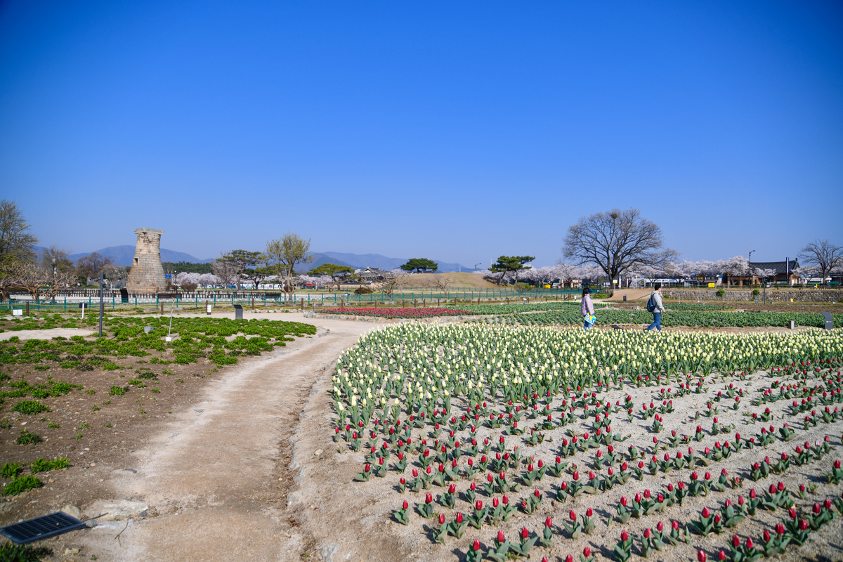 DSC_0043-153.jpg