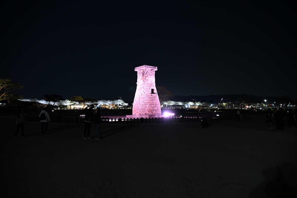 DSC_0510.JPG