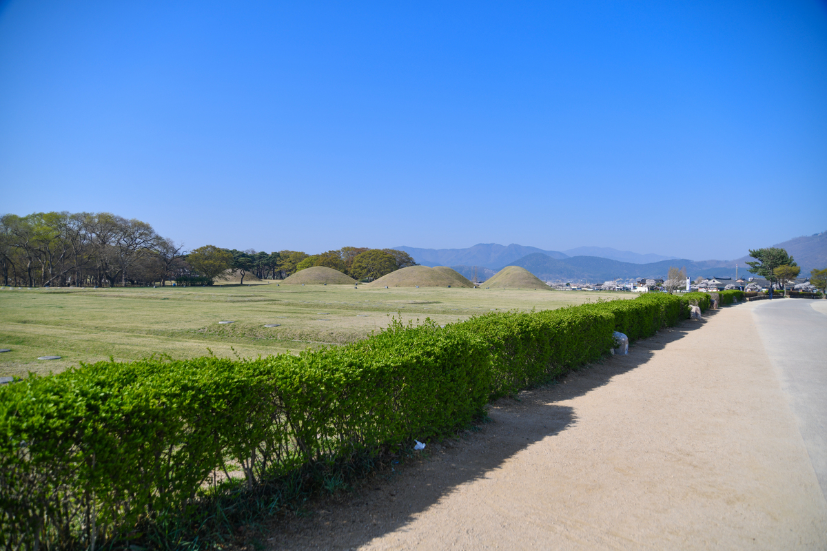 DSC_0052-174.jpg
