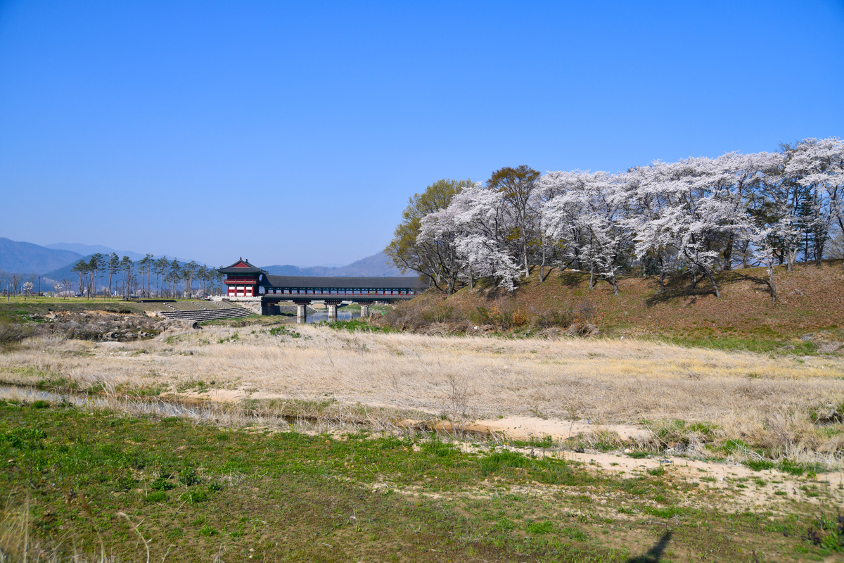 DSC_0105-167.jpg