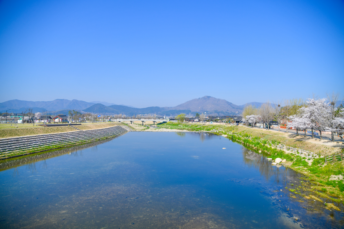 DSC_0085-162.jpg