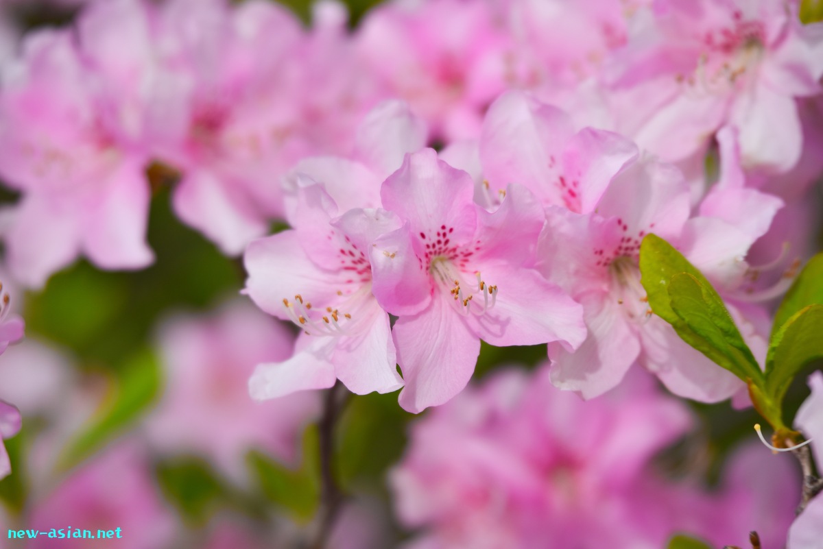 0CB1BADE-F1A4-49F1-9E40-15BC2F1D0C71.jpeg