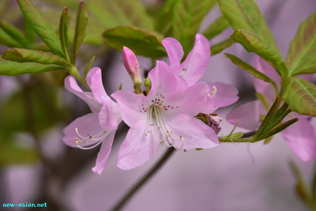 994F99DF-9F05-4C66-92EA-908B2ED78A75.jpeg