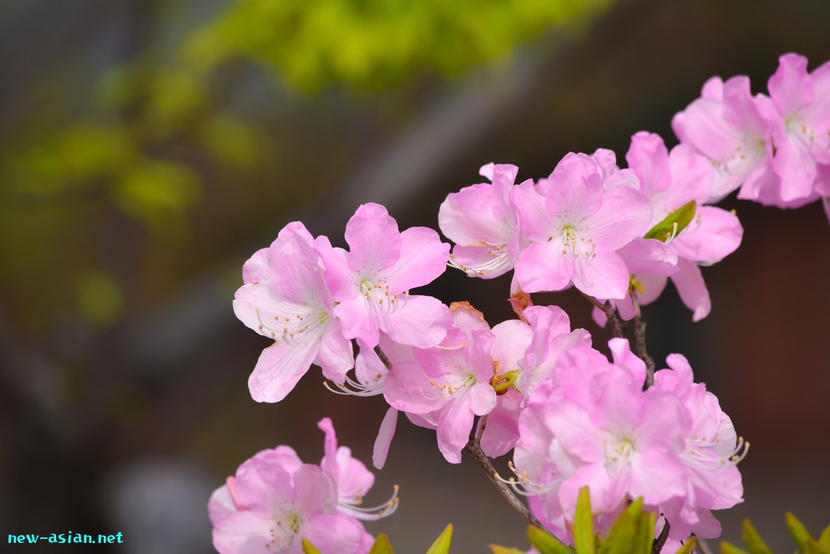 B12392BD-B8D5-4B5D-B18D-00183EB01088.jpeg
