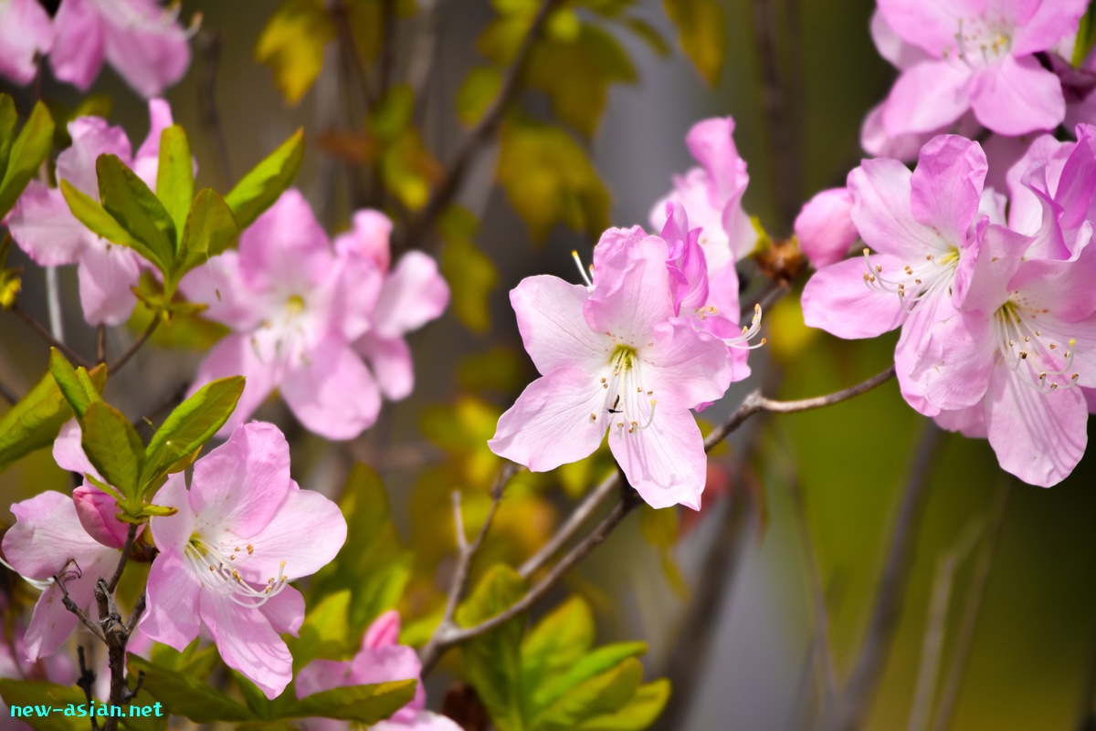 387AFBF7-805C-4C53-A42F-5A42631E06BC.jpeg
