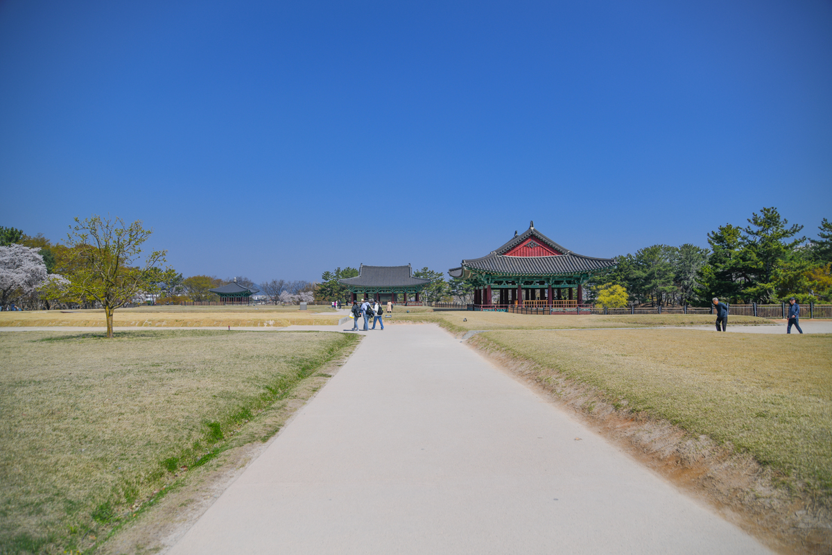 DSC_0206-185.jpg