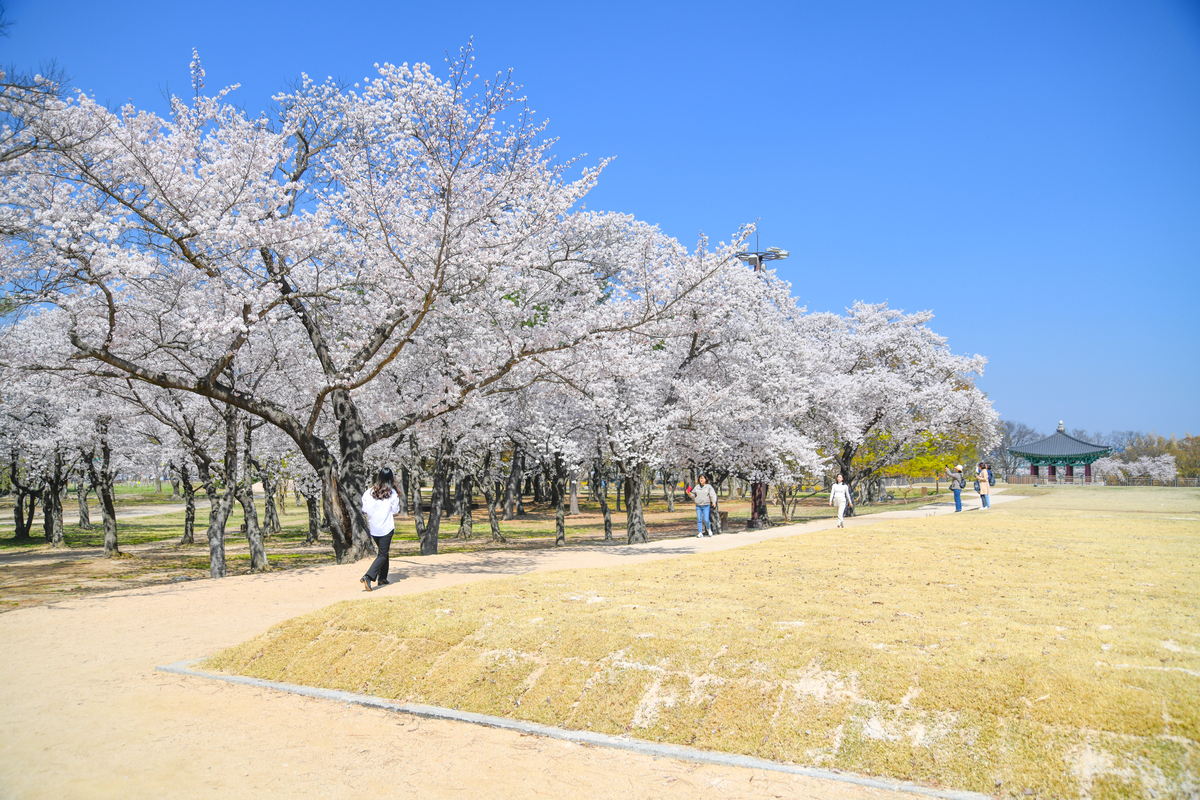 DSC_0214-188.jpg