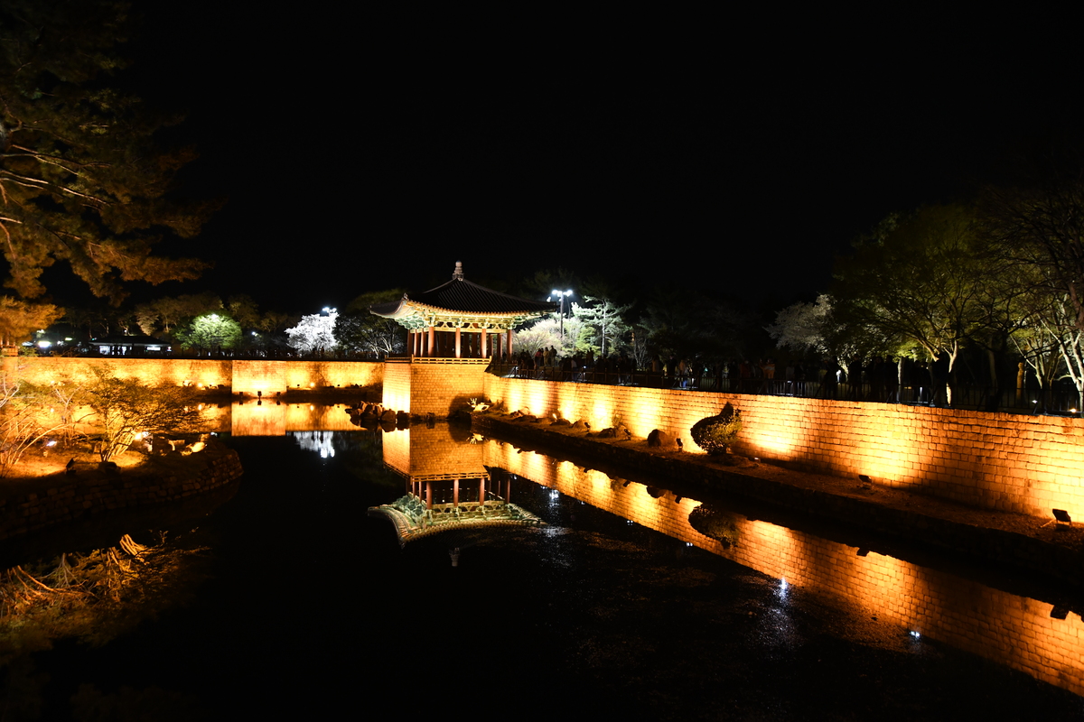 DSC_0530.JPG