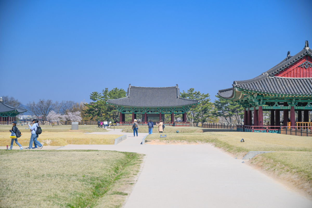 DSC_0207-187.jpg