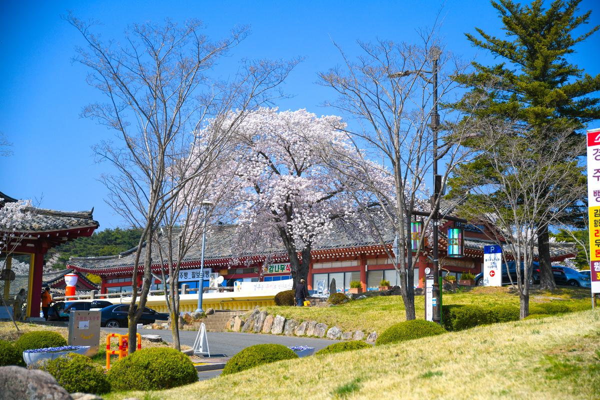 DSC_0374-223.jpg