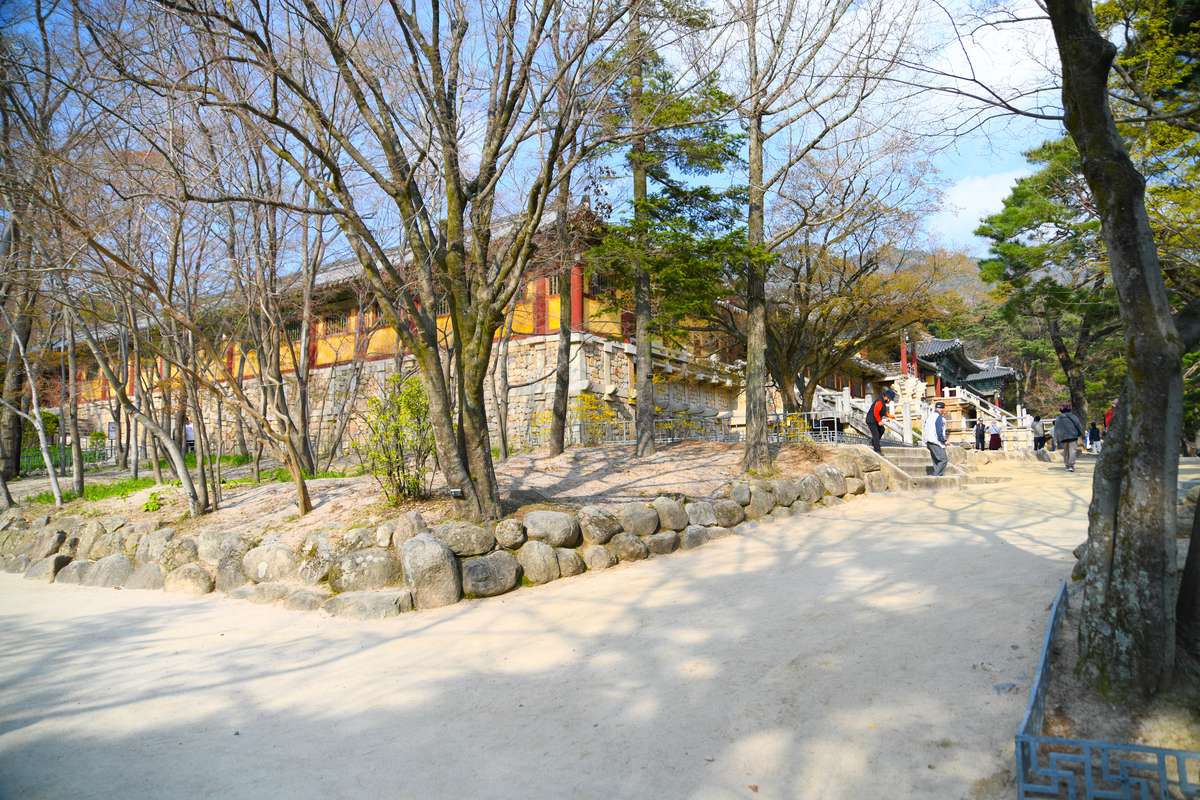 DSC_0445-287.jpg