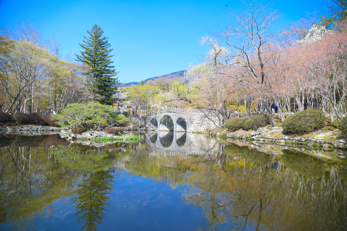 DSC_0406-271.jpg