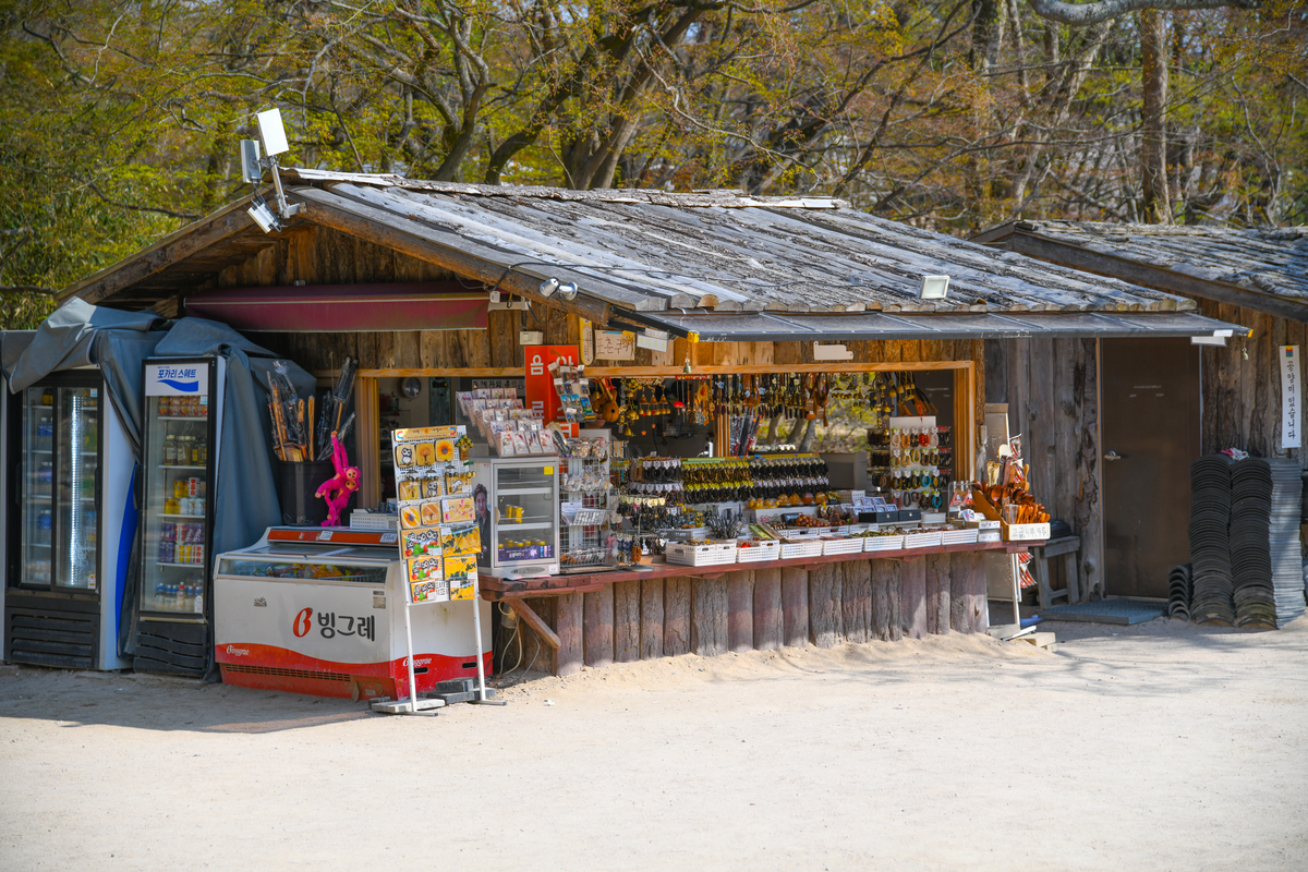 DSC_0421-278.jpg