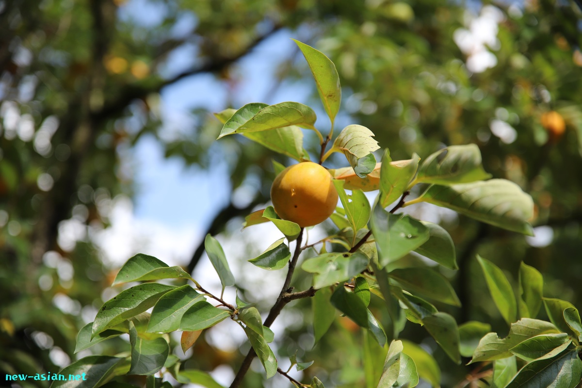 737D312B-1DD2-4583-B42F-546547EA30A2.jpeg