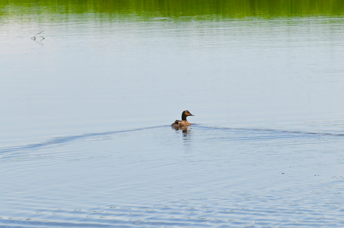 DSC_1315-792.jpg