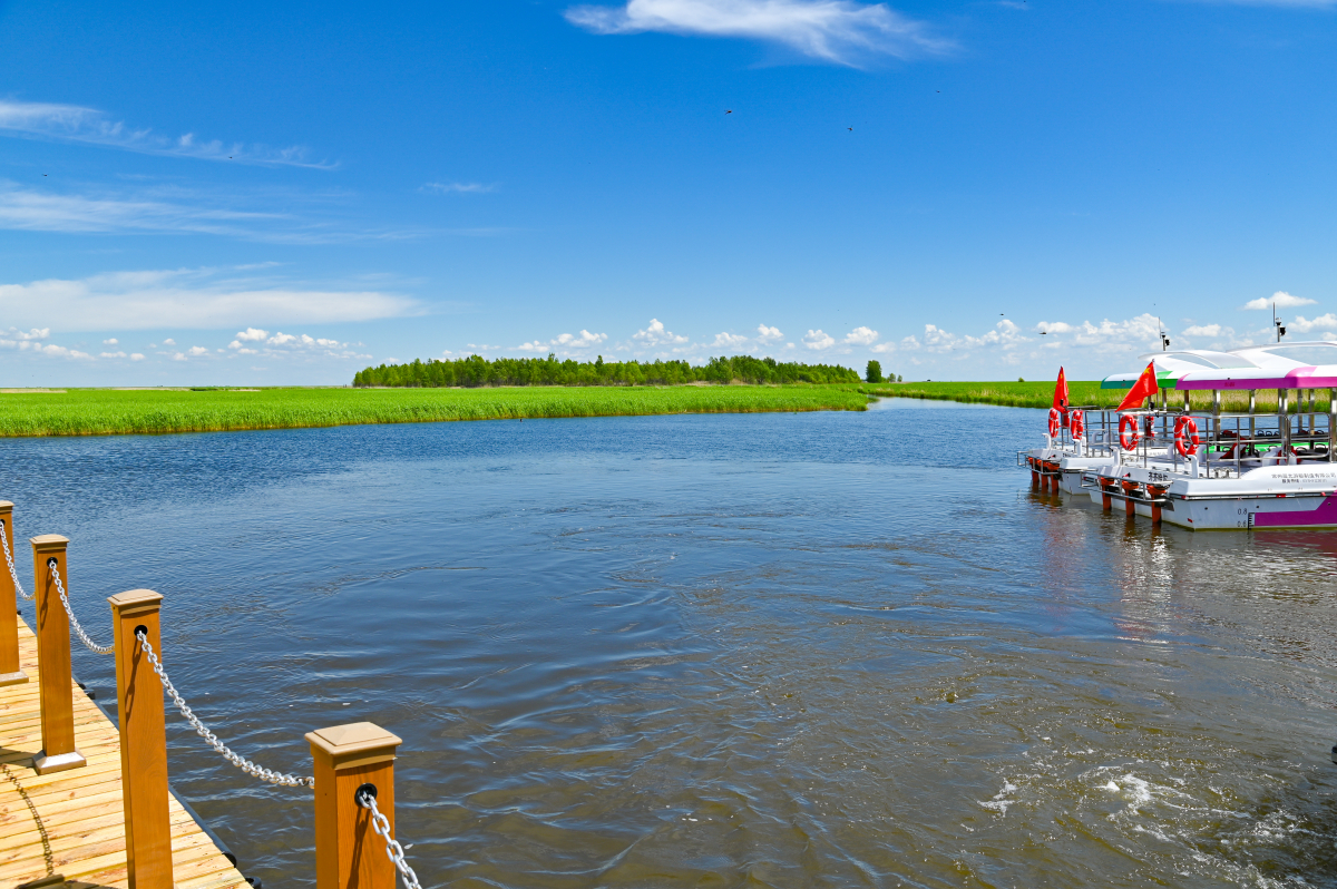 DSC_1313-791.jpg