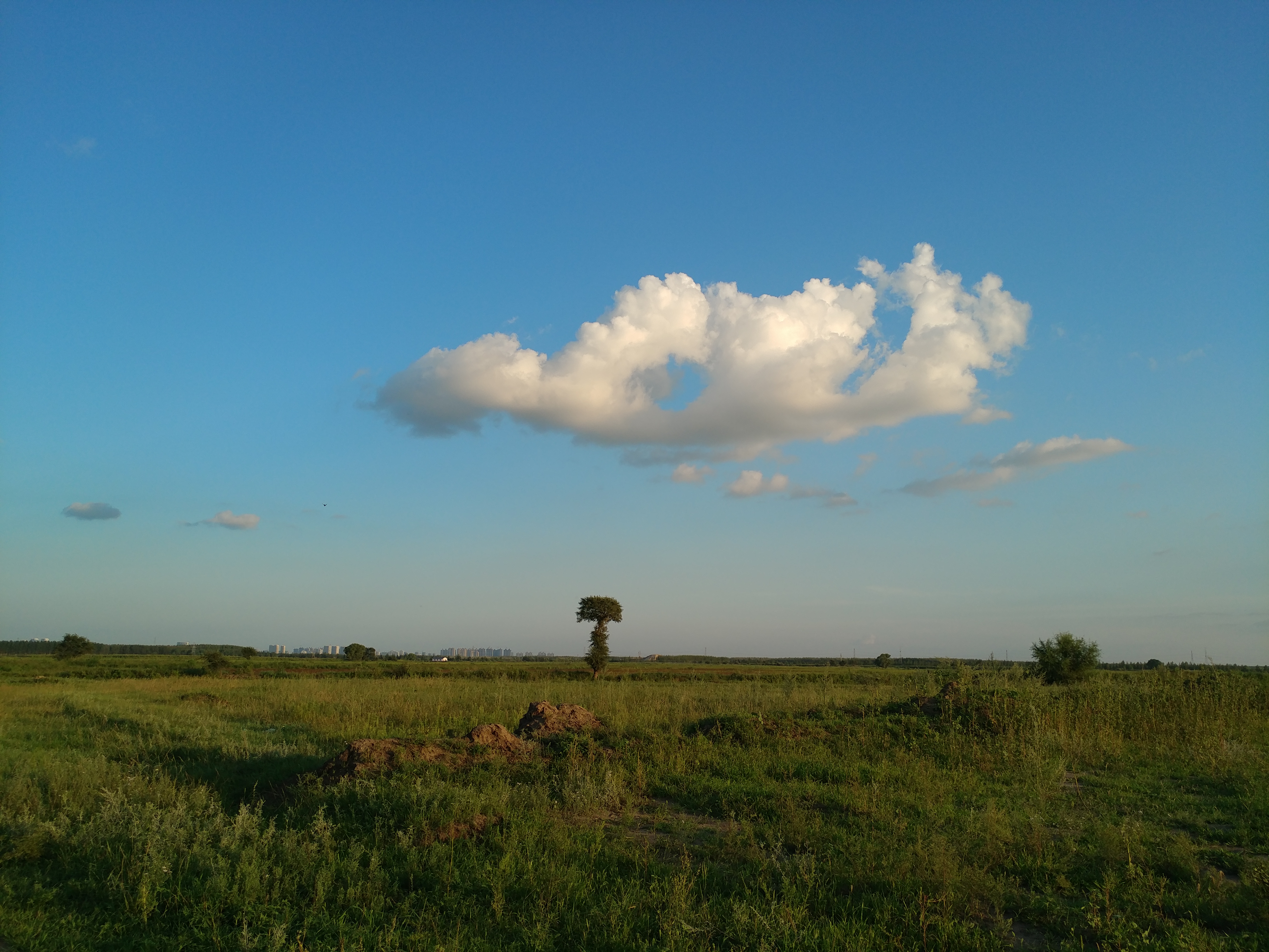 20170817_180022.jpg