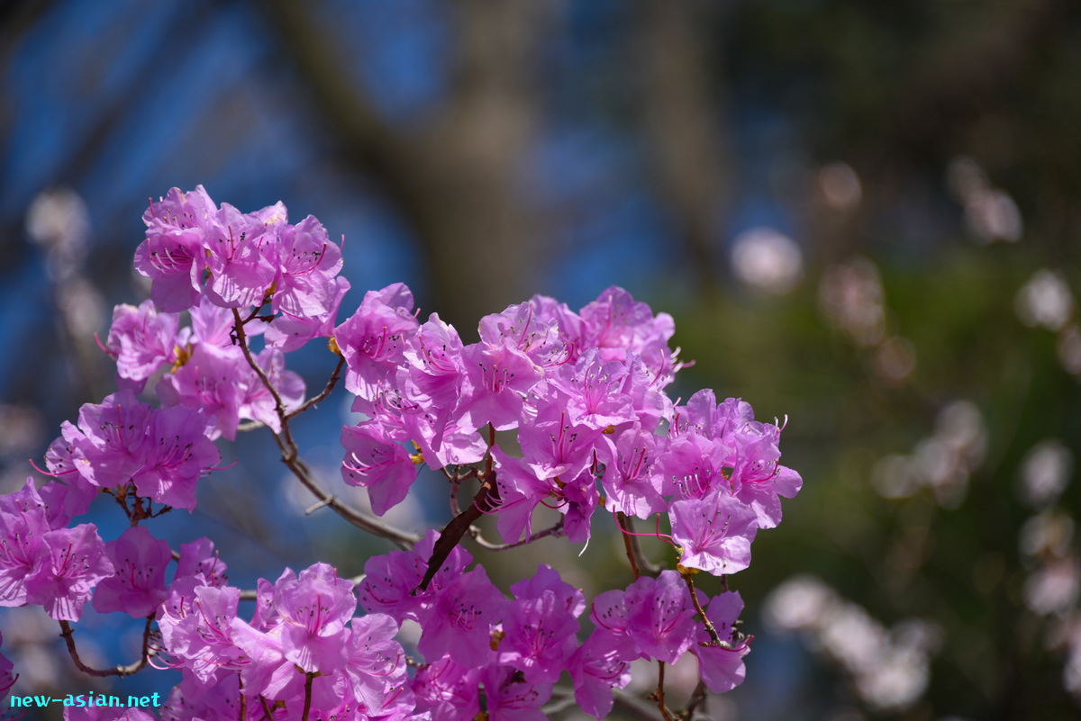 9170A68C-4006-44D3-B27E-E66501FAEFF6.jpeg