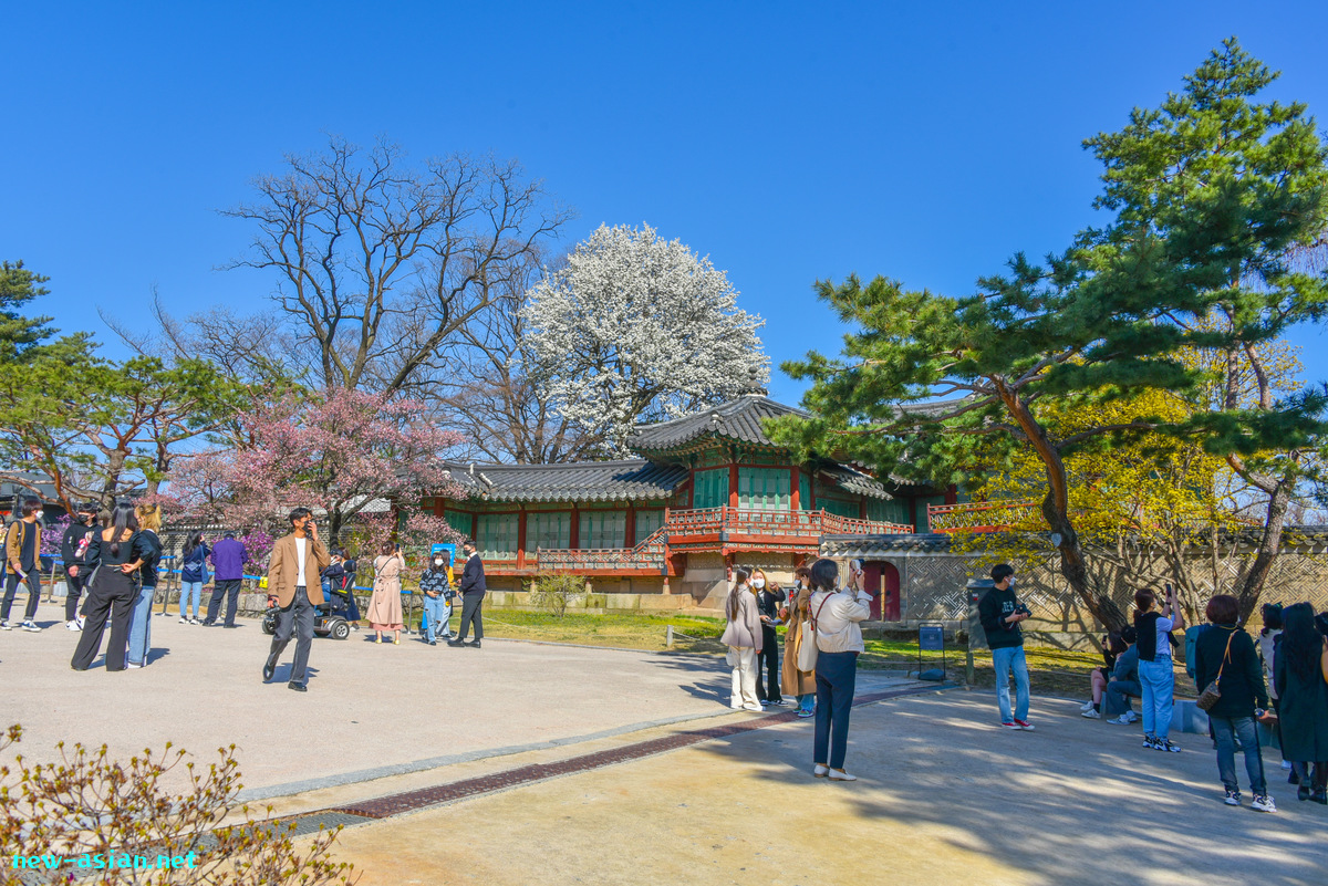 902ABFCC-43C9-4859-B054-F43E85DC3D3A.jpeg