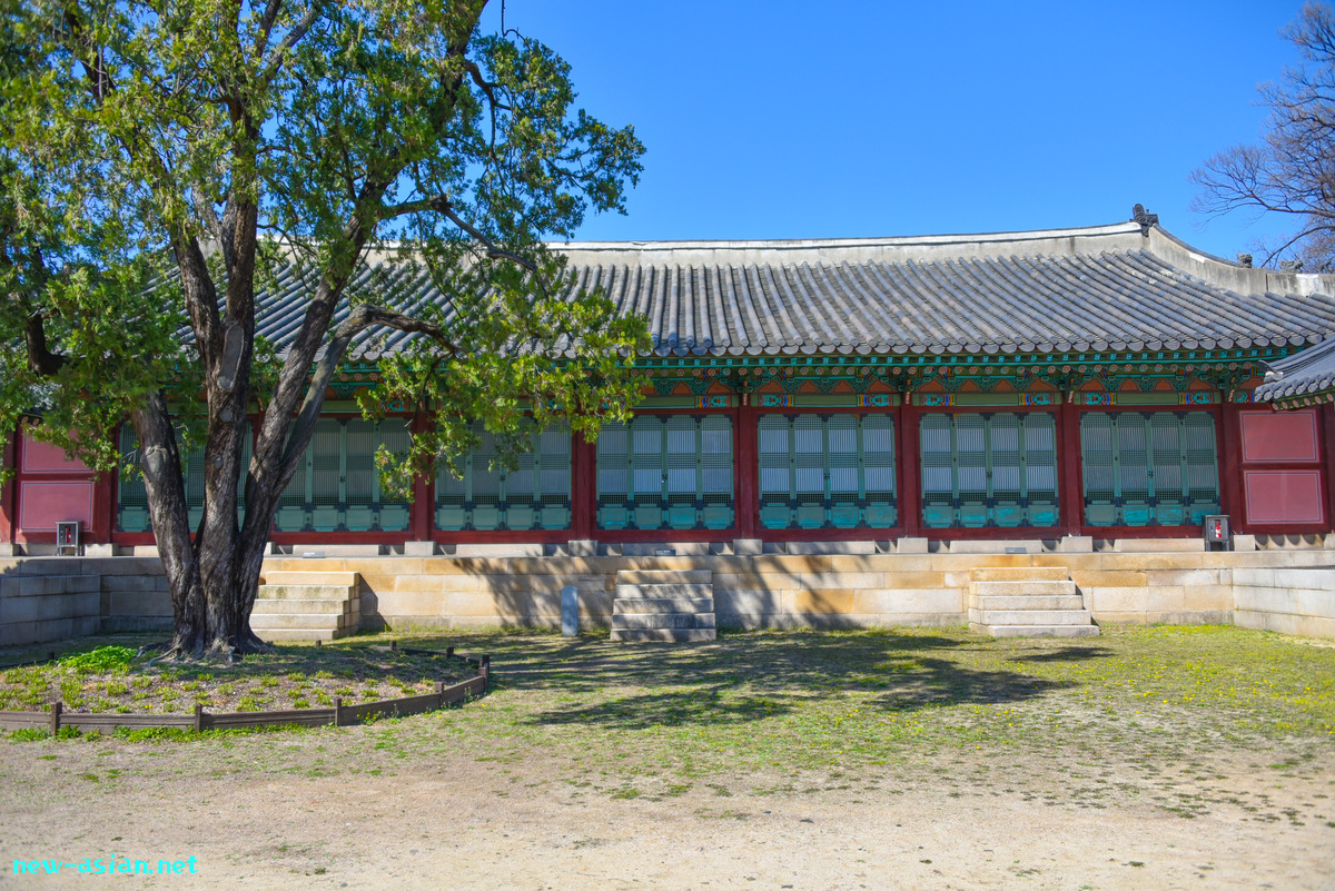 19466A47-0D3B-4605-9BEC-B1023A21CF1A.jpeg